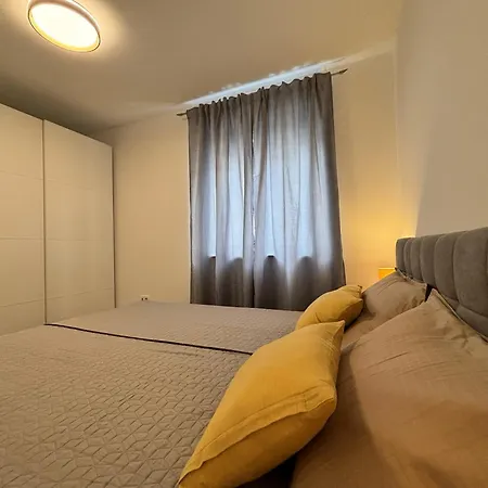 Lav- Newly, Modern Spot Póla