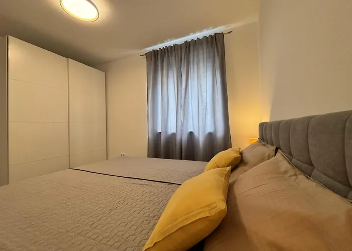 Lav- Newly, Modern Spot Póla